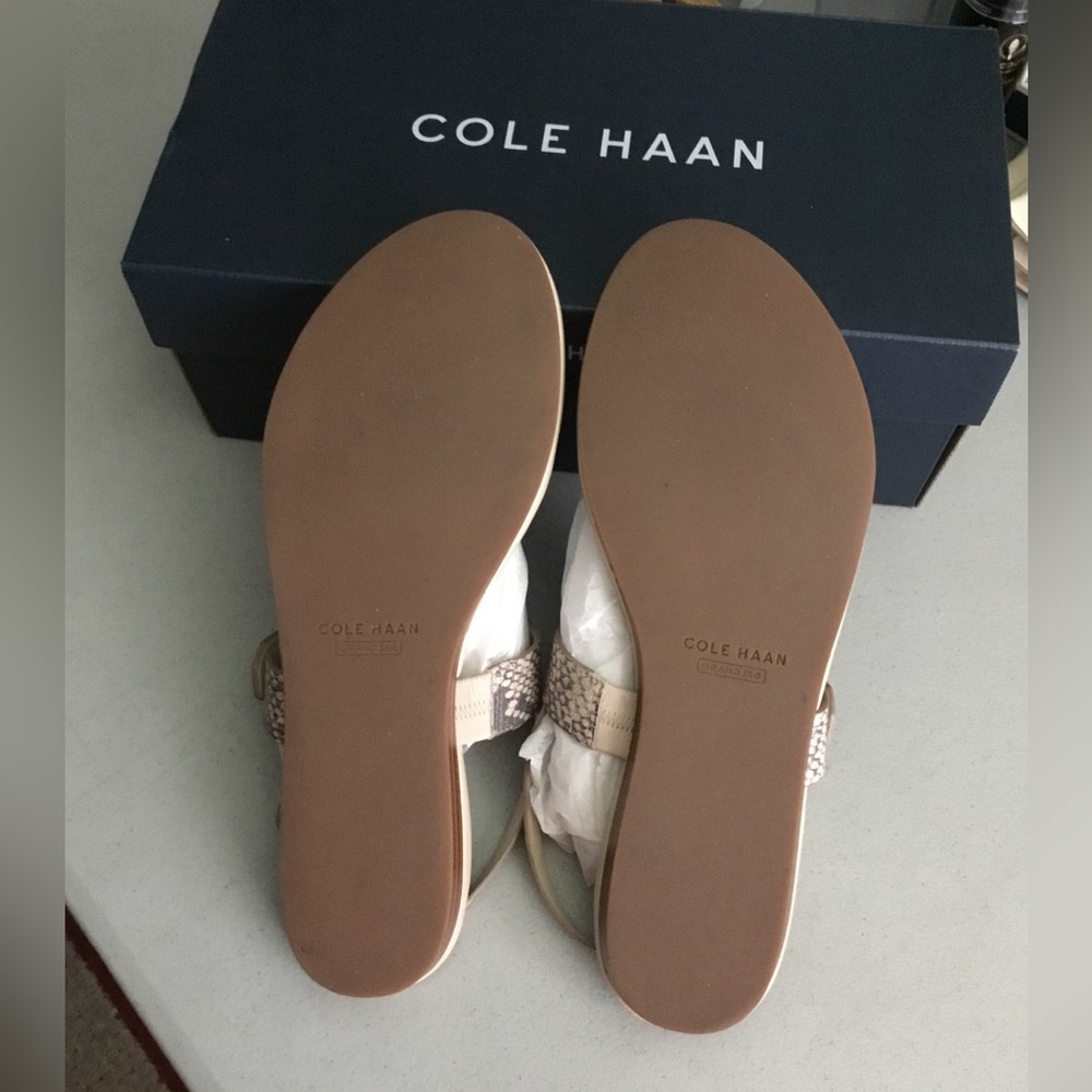 COLE HAAN - Picture 7 of 10